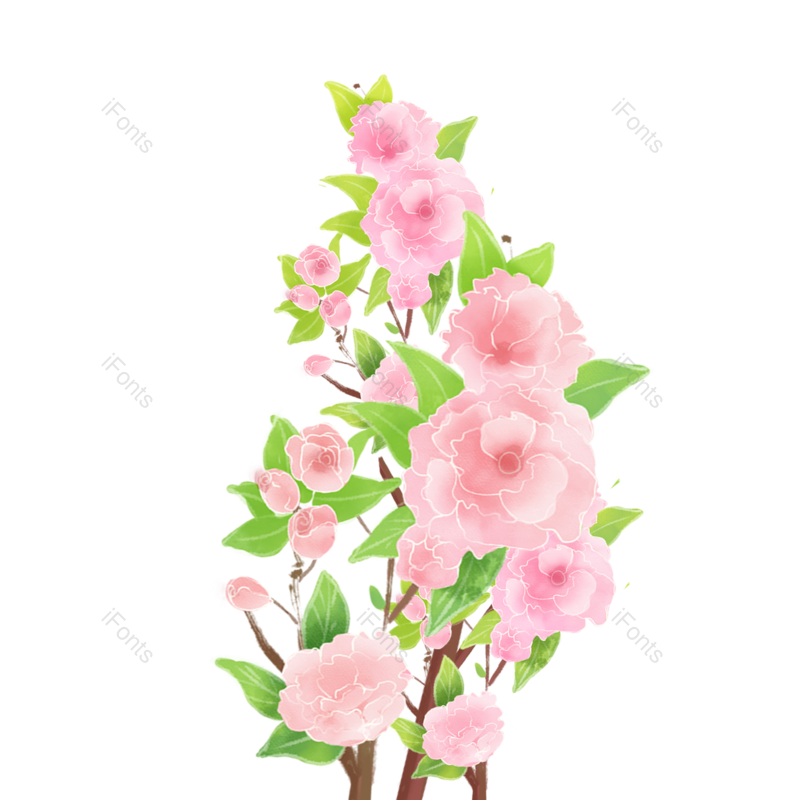 清新图片,插画元素,花朵PNG,鲜花免抠素材